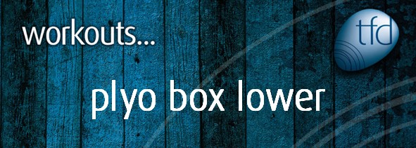 Plyo Box Lower
