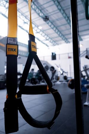 Upper Body TRX