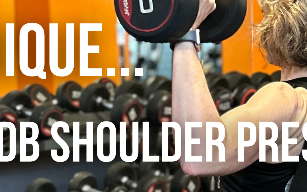 Seated Dumbbell Shoulder Press